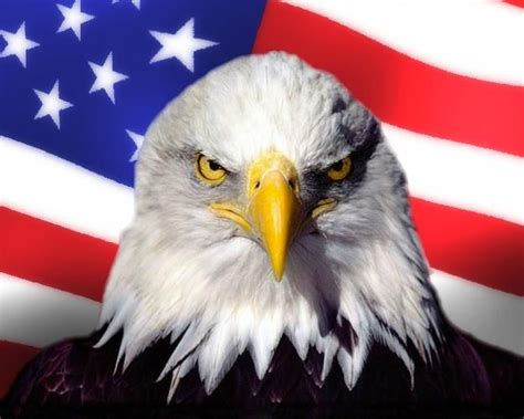 The Eagle: Things You Might Not Know About the Symbol of America ...