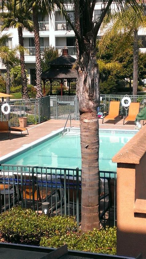 Courtyard by Marriott Oakland Airport Pool Pictures & Reviews - Tripadvisor