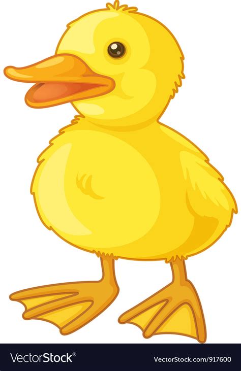 Cute cartoon duck Royalty Free Vector Image - VectorStock