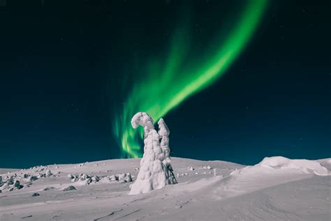 Feel the Magic of Lapland | Visit Finnish Lapland