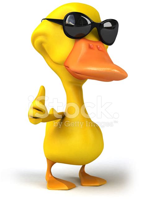 Fun Duck Stock Photos - FreeImages.com