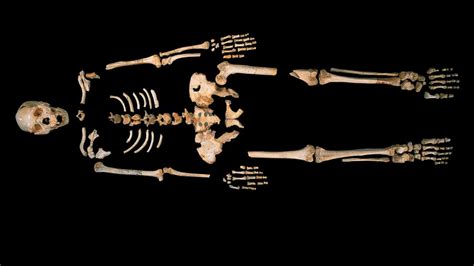 'Pit of Bones' Yields Oldest Known Human DNA - ABC News