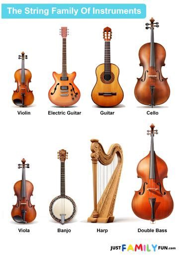 String Instruments List With Pictures And Names Pdf - Infoupdate.org