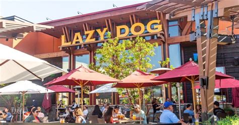 Lazy Dog Restaurant - Visit Oxnard