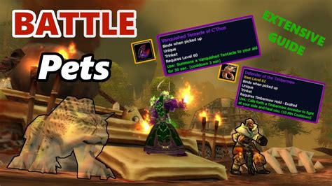 Battle Pets in Classic WoW (Extensive Guide) - YouTube