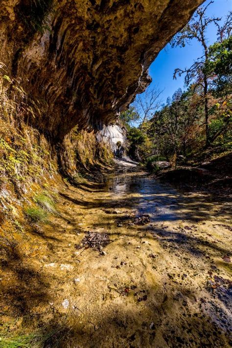 Fall Foliage at Lost Maples State Park in Texas. Stock Photo - Image of brook, leaves: 87815890