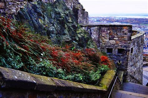 Oh, the places we will go!: Edinburgh Castle