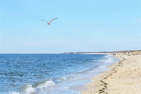 Cape May Beaches and Beach Tags | CapeMay.com