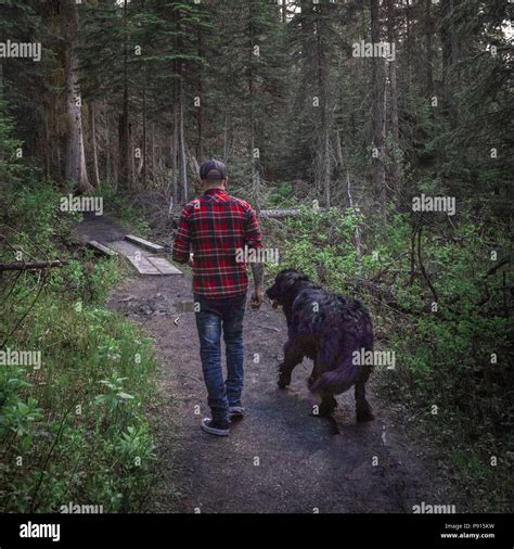 Man walking black dog hi-res stock photography and images - Alamy