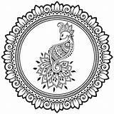 2000  Peacock Outline Stock Photos Pictures & Royalty Free Images sketch template