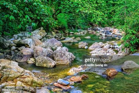 205 Sapa Waterfall Stock Photos, High-Res Pictures, and Images - Getty ...