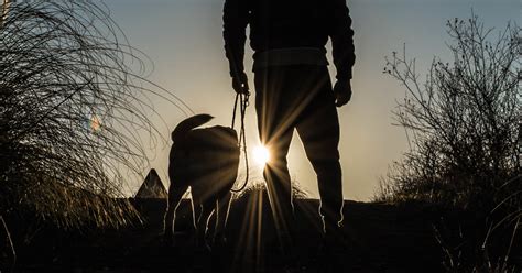 Tips for Keeping Dog Walks Safe, Warm, and Dry