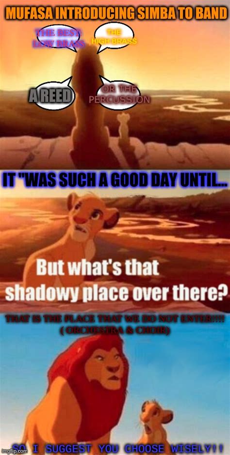 Simba Shadowy Place Meme - Imgflip