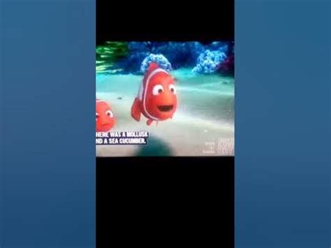 Finding Nemo sponge beds 😂😂😂 - YouTube