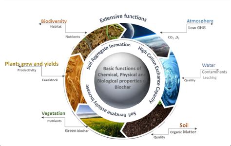 Environmental benefits of biochar. | Download Scientific Diagram