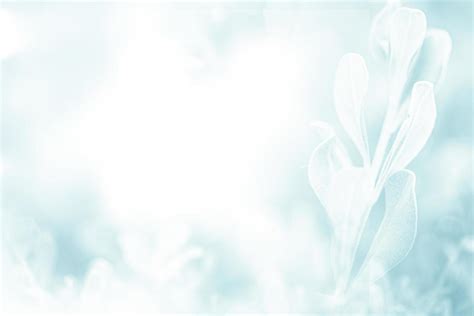 Blue green beautiful spring flower bloom branch background with free copy space for greeting ...