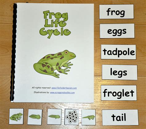 Frog Life Cycle Adapted Book - $3.50 : File Folder Games at File Folder Heaven - Printable ...