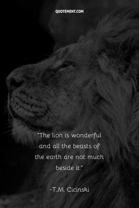 110 Powerful Lion Quotes To Unleash The Lion Within You