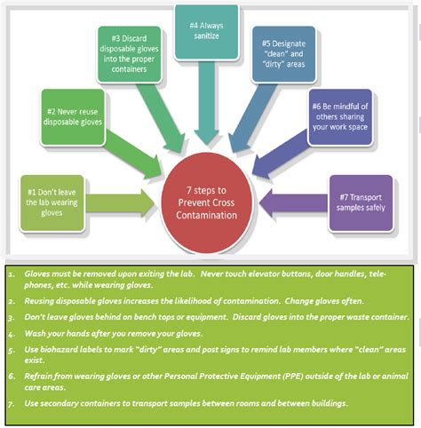 7 Steps to Prevent Cross-Contamination – Emory Research Administration News