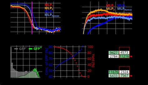 MLP training and assessment (A) Plot shows a learning rate screening... | Download Scientific ...