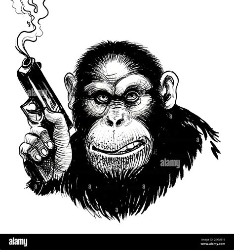 Chimpanzee with a smoking gun. Ink black and white drawing Stock Photo ...