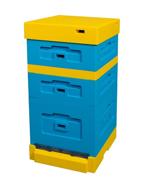 Dadant beehive with high hygienic bottom board - painted