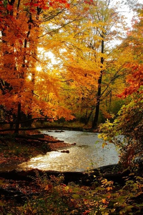 Autumn Stream Pictures, Photos, and Images for Facebook, Tumblr ...