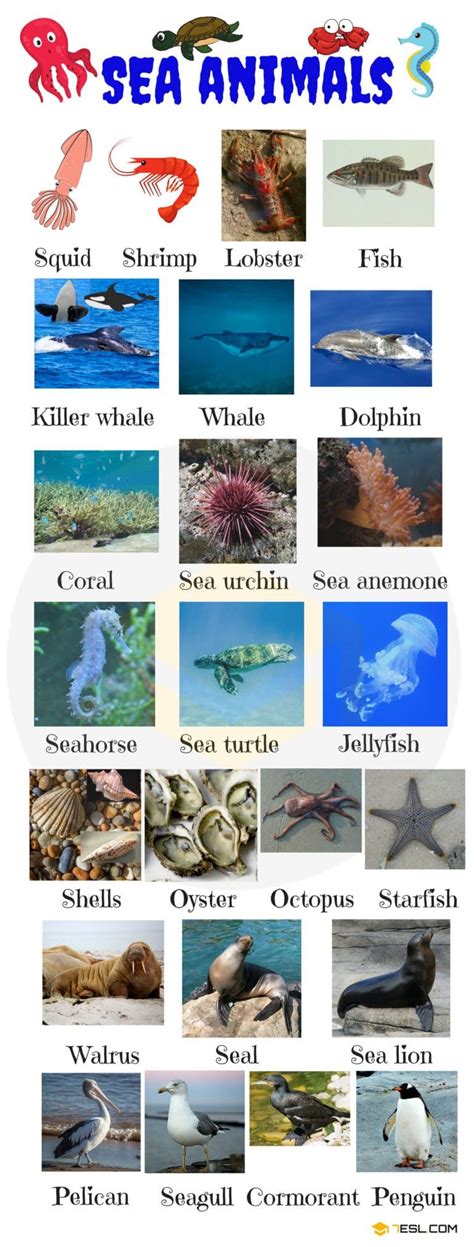 Animal Names | Types of Animals | List of Animals • 7ESL | Sea animals images, Sea animals ...