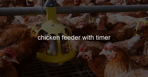 chicken feeder with timer - Life 4 The Farm