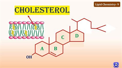 9: Cholesterol: Structure & Functions | Lipid Chemistry-9 | Biochemistry | N'JOY Biochemistry ...