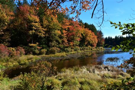 How to Find the Most Beautiful Fall Foliage in the Poconos – Dang Travelers