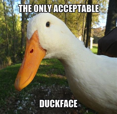 Pin by Sarah cody on cool stuff | Duck face, Funny pictures, Just for gags