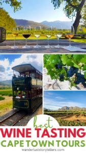 7 Best Wine Tasting Cape Town Tours in 2024