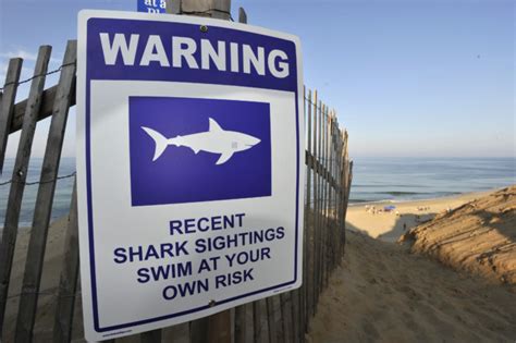 Swimmer Suffers Puncture Wounds In Shark Attack On Cape Cod – MassCentral Media