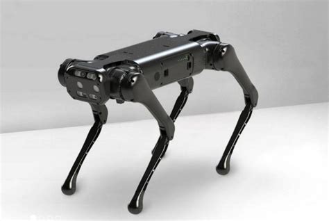 Unitree A1 Robot Dog | WordlessTech