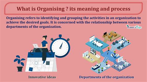 What is Organising ? its meaning and process – Tutor's Tips