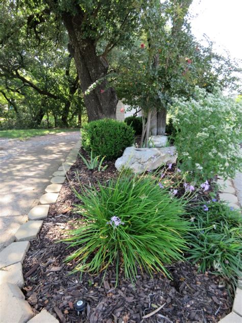 Xeriscape Design Ideas - Gardening Know How