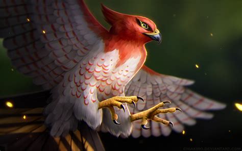 Talonflame Pokemon, HD Artist, 4k Wallpapers, Images, Backgrounds, Photos and Pictures