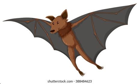 Bat Flying Clipart