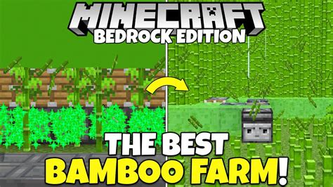 What Is The BEST BAMBOO Farm In Minecraft Bedrock Edition? (Easy Bamboo ...