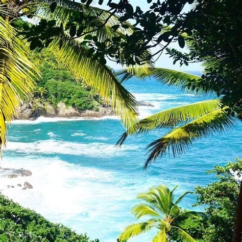 6 Reasons Why You Should Vacation in Dominica This Year | HuffPost