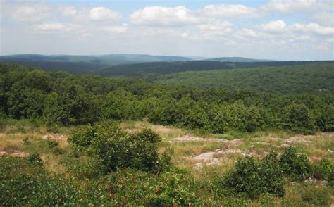 Taum Sauk Mountain State Park | Missouri State Parks | Missouri state parks, State parks ...