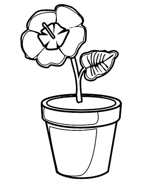 Flower Pot Coloring Pages Best Coloring Pages For Kid - vrogue.co