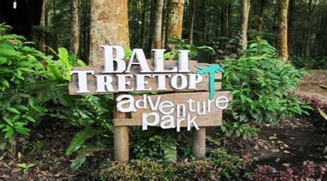 Bali Treetop Adventures Ceases Operations | Bali Discovery