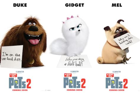 "The Secret Life of Pets 2": A Review - ReelRundown