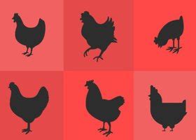 Free Funny Rooster Vector