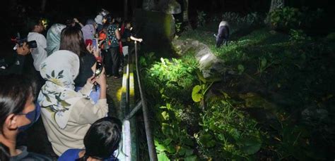 Did You Know: You Can Spend The Night In Zoo Negara To See Nocturnal ...