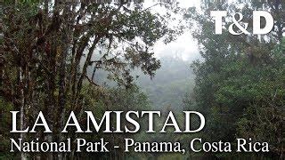 10 Things to Do in La Amistad National Park, Perez Zeledon, Costa Rica ...