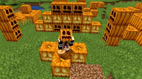 Minecraft pumpkin guide