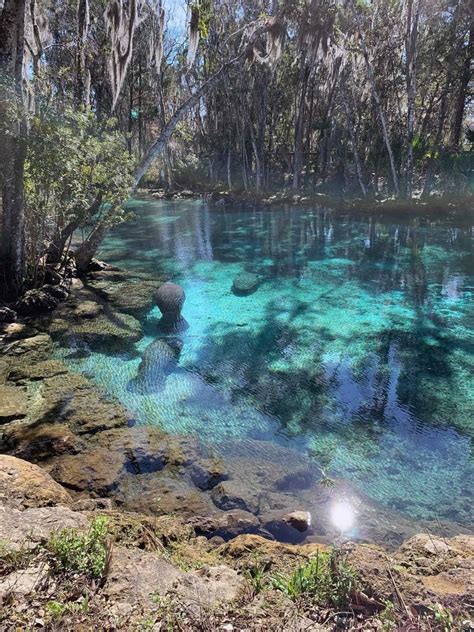 Crystal River Archaeological State Park - Museum Point, United States